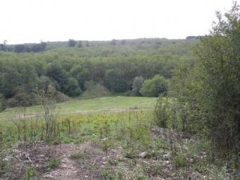 BEAUTIFUL VIEW TO THE FOREST Varna