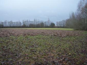 Land for mixed type development Riga