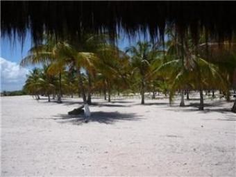 Beautiful Beachfront Investment Camamu