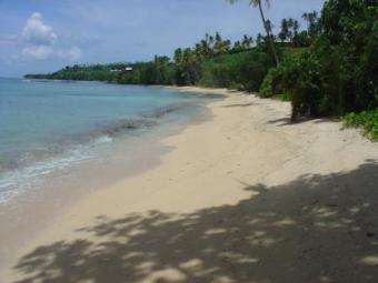 Get your own Paradise Suva