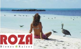 ROZA Real Estate Riviera Maya Playa Del Carmen