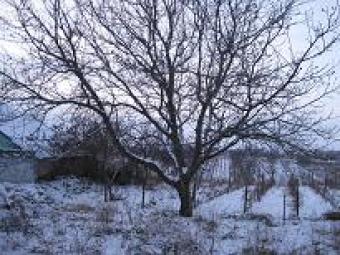 For  sale plot of land!!! Chisinau