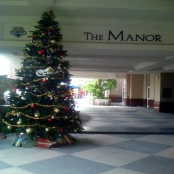 The Manor luxury flat for rent Hcmc