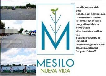 LOTs Cavite area near Tagaytay Dasmarinas City