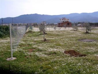 350 M2 LAND FOR SALE IN DAVUTLAR Kusadasi