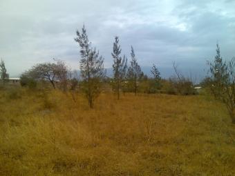 Plot for Sale Arusha -Tanzania Arusha