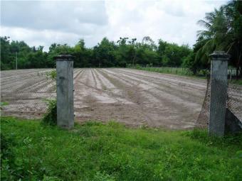 Sell Plot 4039m� Ideal for prof Go Dau   Tay Ninh