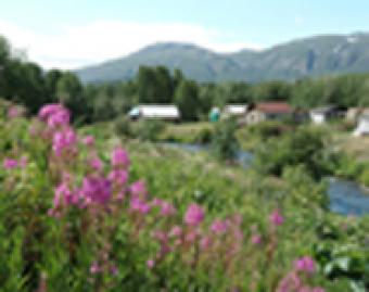 land for sale ruwanwella town Ruwanwella