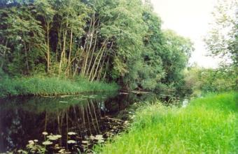 Land for sale Rujiena
