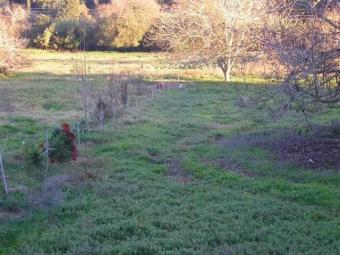 LAND FOR SALE IN SIDARI CORFU Sidari Corfu