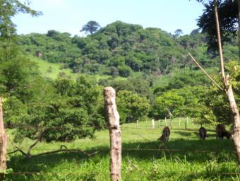 Property in Cantimplora, Belen!! Belen, Rivas