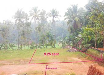 Plot for sale at pukkattupady. Ernakulam