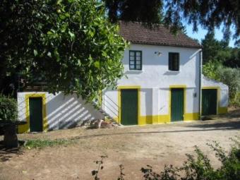 House with garden in Portugal Oliveira Do Hospital