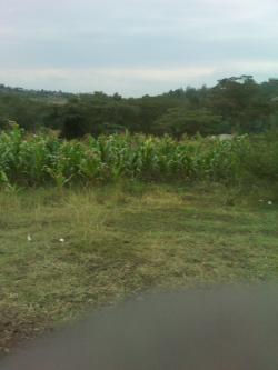 REAL LAND SALE Kiserian Magadi Road