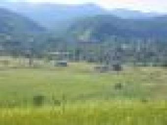 FOREST PROPERTY IN ROMANIA Arad   Deva