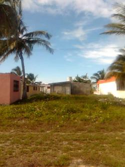 Excelent in Yucatan beach Progreso