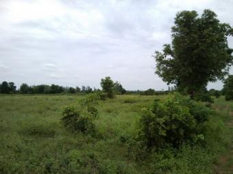 102,400 sq.w.  Kalasin Province Kalasin