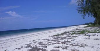 7 Acre Beach Plot for Sale Galu Beach