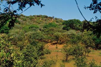 Want to Buy in Balmoral Lusaka Lusaka