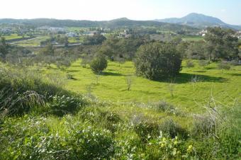 landforsalecyprus Alethrico