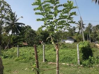 Residential Property in Kurunega Kurunegala