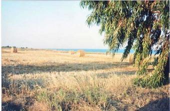 LAND FOR SALE IN EXCELLENT SPOT Morphou