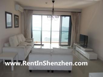 Shenzhen apartments/178sqm 4BR 1 Shenzhen