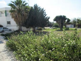 commercial plot for sale Paphos