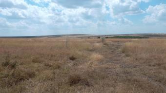 200 acres 50 kms from nairobi Nairobi