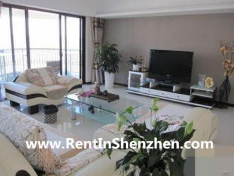 Shenzhen Apartment FuTian CBD/5m Shenzhen
