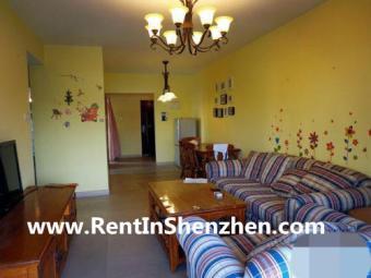 Shenzhen Apartment Rent/NanShan, Shenzhen