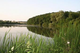 LUCRATIVE OFFER : Arable land, L Nitra