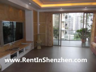 2011 New building/Mountain-View/ Shenzhen