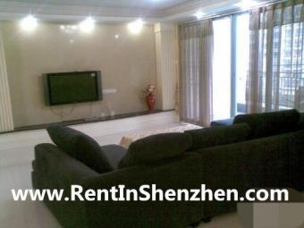 Window to Seaside,150sqm 3BR 750 Shenzhen