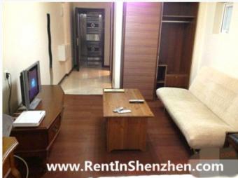 OCT,NanShan Apartment Rent/16000 Shenzhen