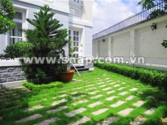 Rental House Snap in HCMC Hcmc