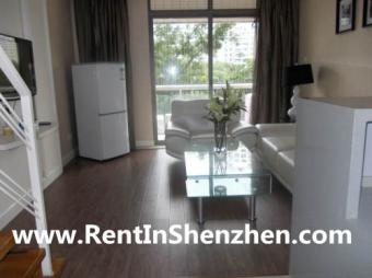 10min to COCO PARK/100sqm 2BR 75 Shenzhen