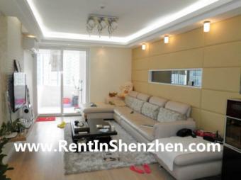 Nice City View ,Western Style,3b Shenzhen