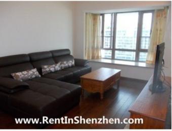 Mountain-View apartment,western Shenzhen