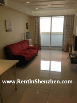 NanShan Apartment Rent/beautiful Shenzhen