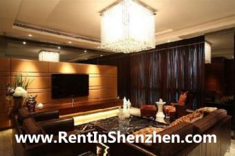 Mangrove West Coast/Shenzhen Apa Shenzhen