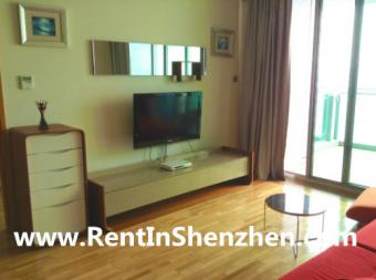 Shenzhen Apartment Rent/NanShan/ Shenzhen