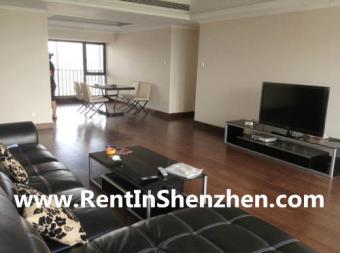 2012 New Building in OCT/Portofi Shenzhen
