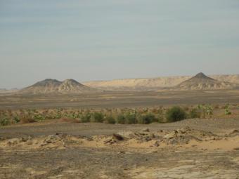 Land for sale in Baharia Oasis 6 October City