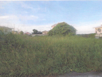Residential Land for Sale Wellhouse, St. Philip
