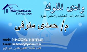 Villa New Cairo New Cairo