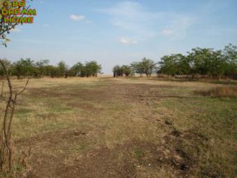 Nice Big Plot of Land-3000sq.m. Yambol