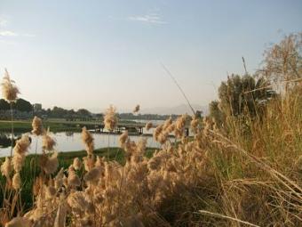 Luxor; land for sale on the Nile Luxor