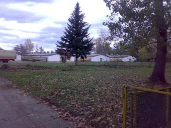 Chicken egg farm Bitola