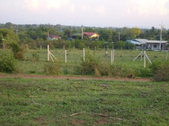LAND NEAR FOREST PAKCHONG 30130